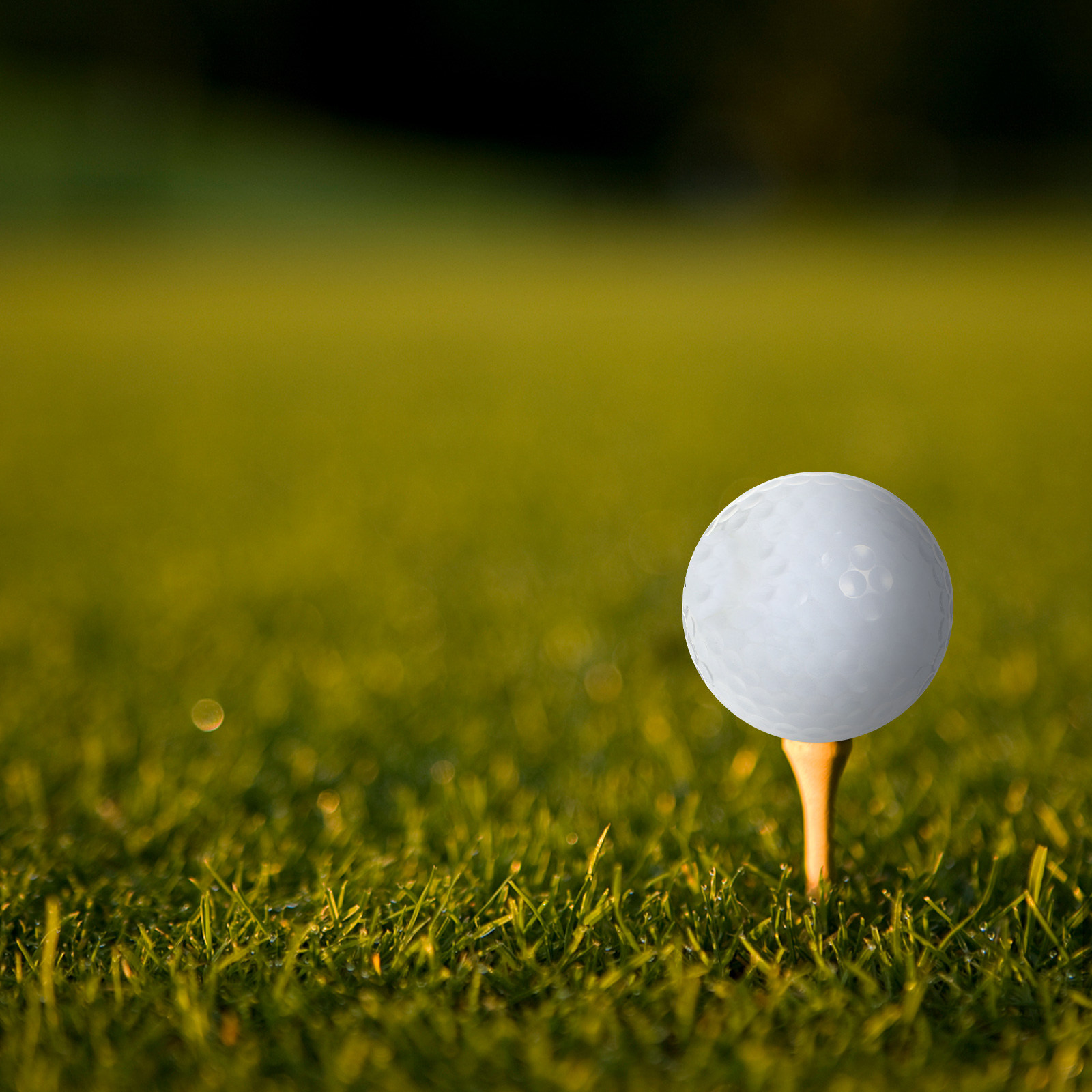 İç Mekan Pratik Golf Topları E - Golf Equipment Beginners incelemesi ve fiyatı